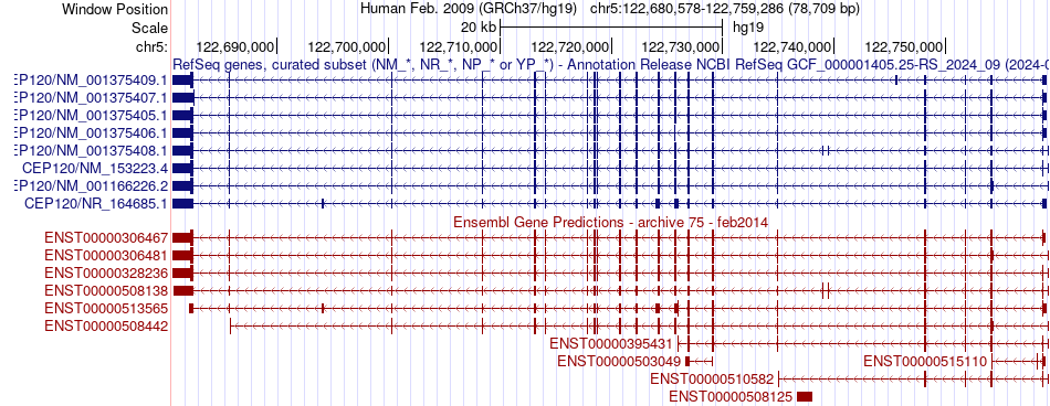 gene isoform structure of CEP120