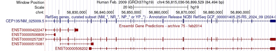 gene isoform structure of CEP135