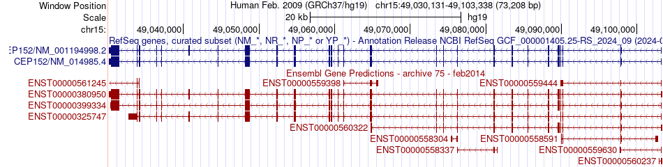 gene isoform structure of CEP152