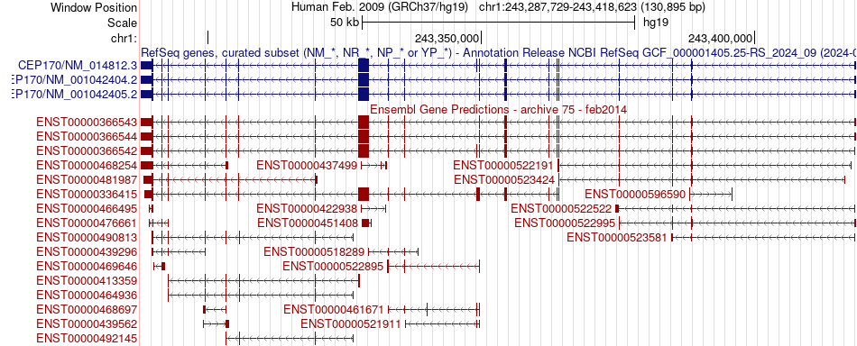 gene isoform structure of CEP170