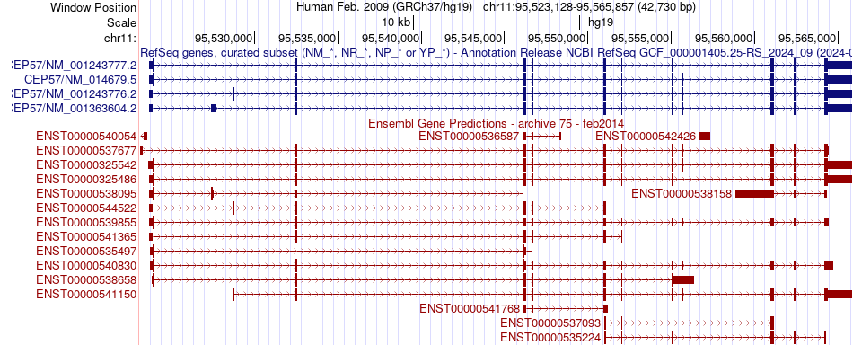 gene isoform structure of CEP57