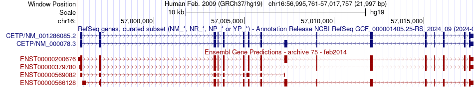 gene isoform structure of CETP