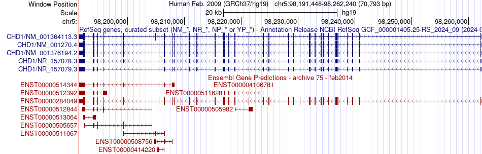 gene isoform structure of CHD1