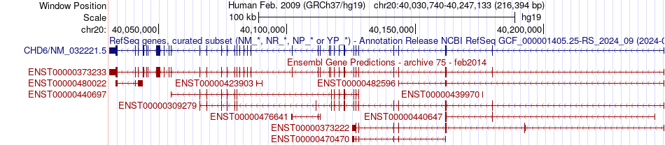 gene isoform structure of CHD6