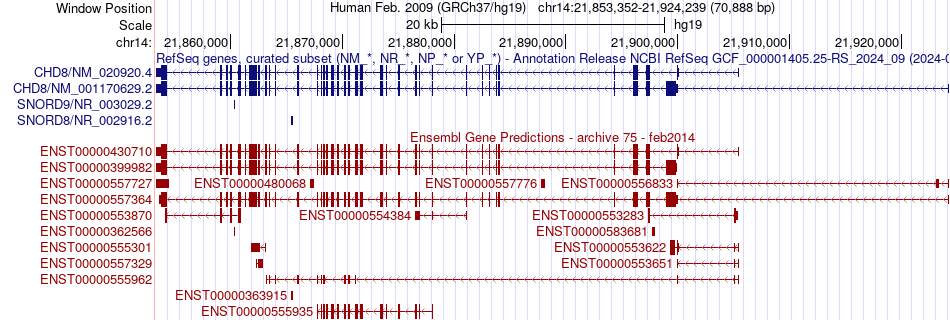 gene isoform structure of CHD8