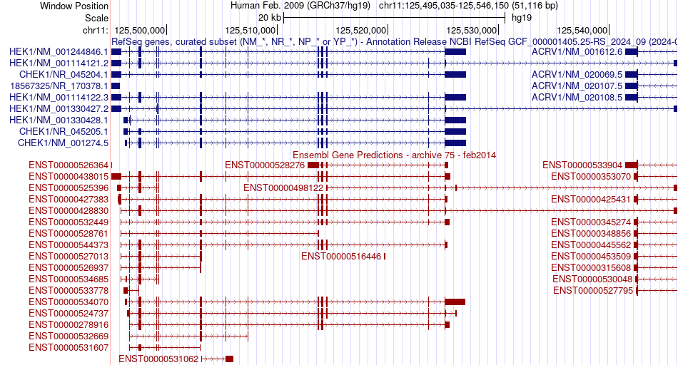 gene isoform structure of CHEK1