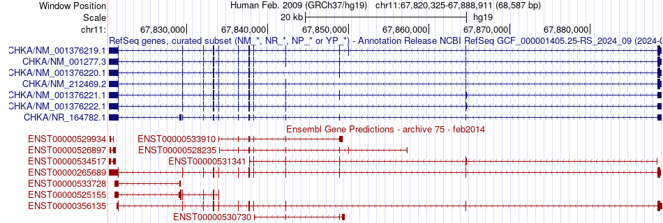 gene isoform structure of CHKA