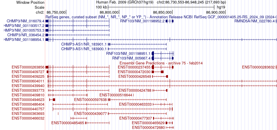 gene isoform structure of CHMP3