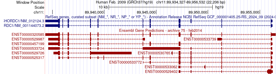 gene isoform structure of CHORDC1