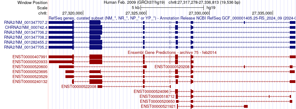 gene isoform structure of CHRNA2