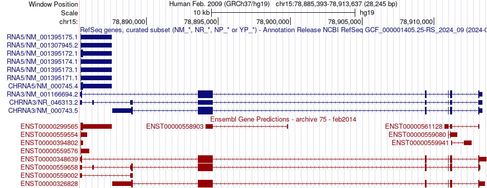 gene isoform structure of CHRNA3