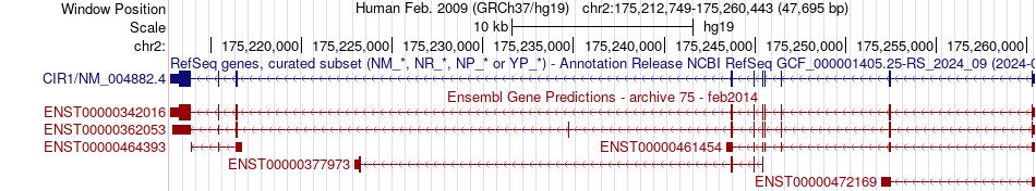 gene isoform structure of CIR1