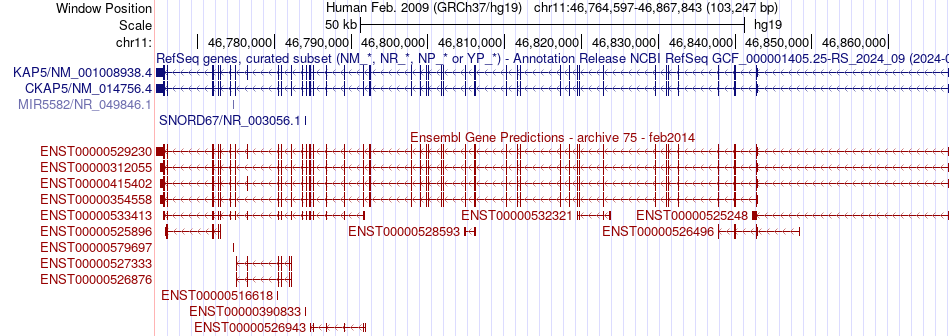 gene isoform structure of CKAP5