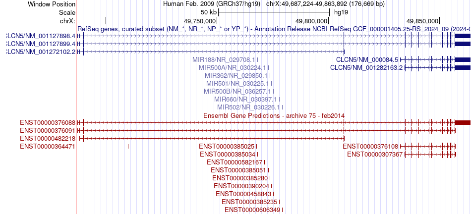 gene isoform structure of CLCN5