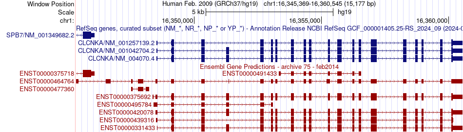 gene isoform structure of CLCNKA
