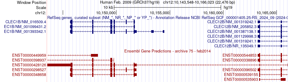gene isoform structure of CLEC1B