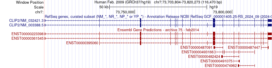 gene isoform structure of CLIP2