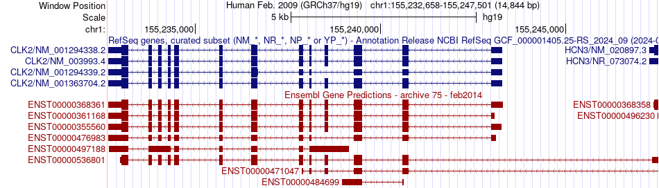 gene isoform structure of CLK2