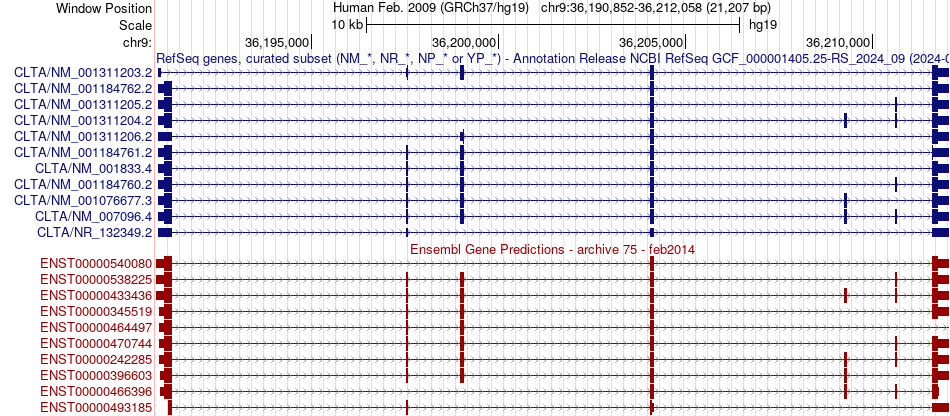 gene isoform structure of CLTA