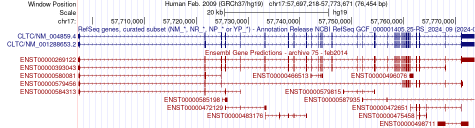gene isoform structure of CLTC