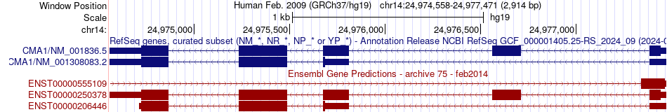 gene isoform structure of CMA1