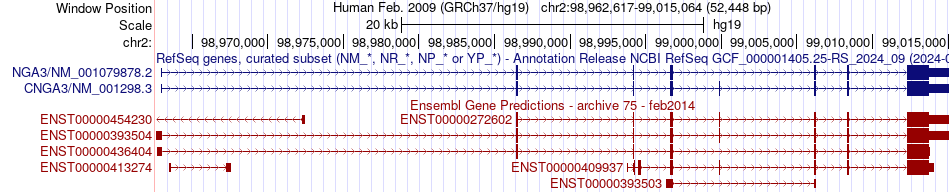 gene isoform structure of CNGA3