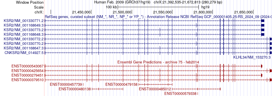 gene isoform structure of CNKSR2