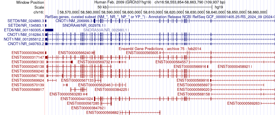 gene isoform structure of CNOT1