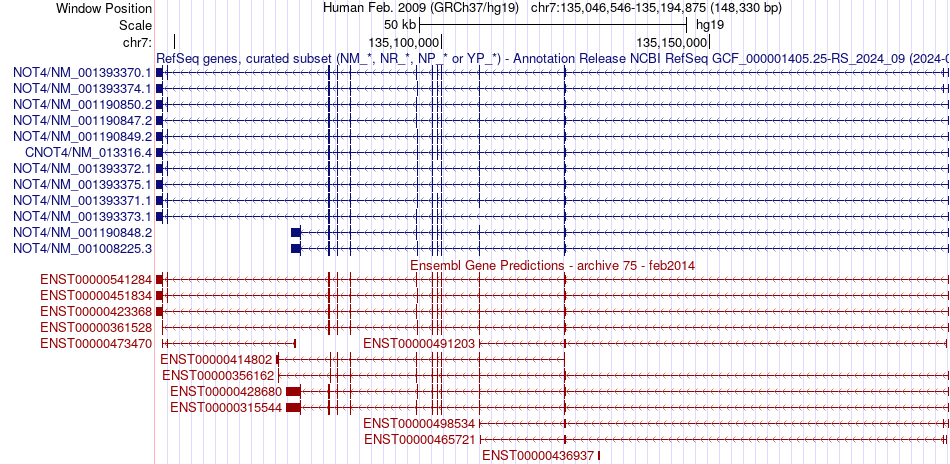 gene isoform structure of CNOT4