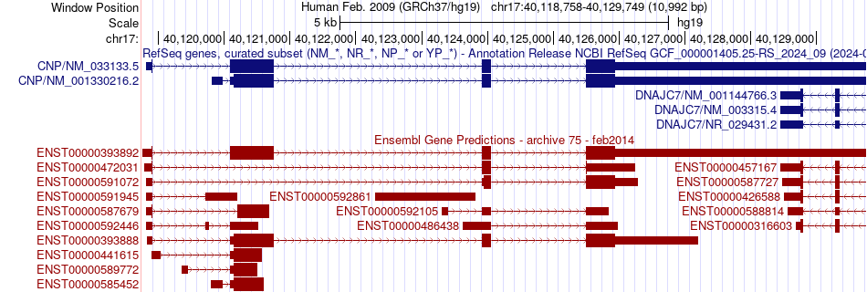 gene isoform structure of CNP