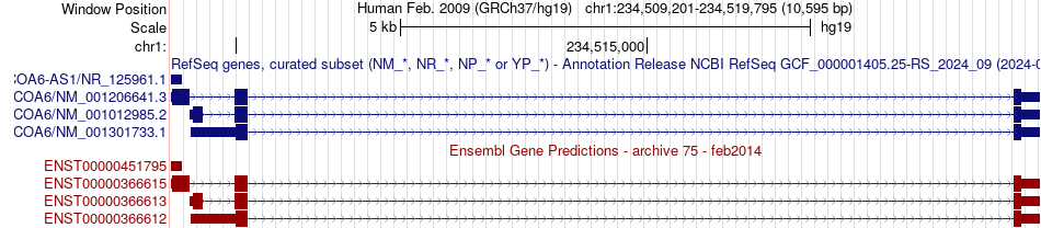 gene isoform structure of COA6