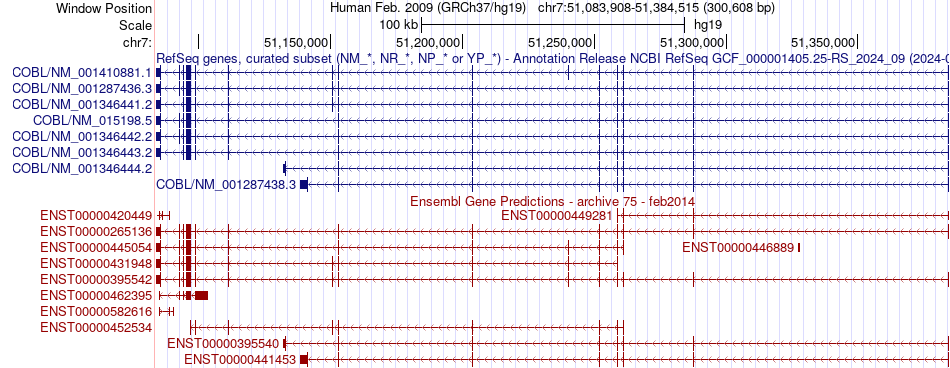 gene isoform structure of COBL