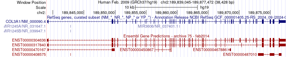 gene isoform structure of COL3A1