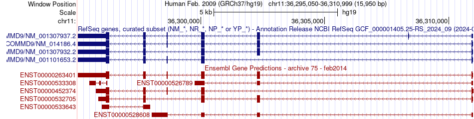 gene isoform structure of COMMD9