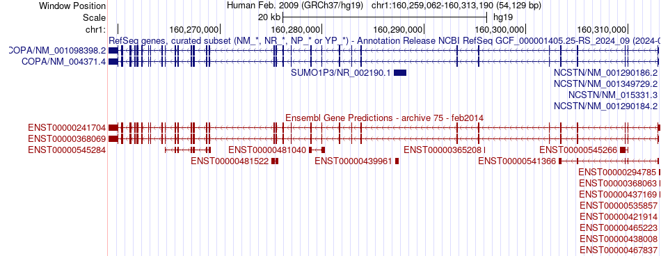 gene isoform structure of COPA