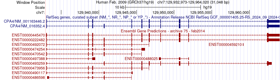 gene isoform structure of CPA4