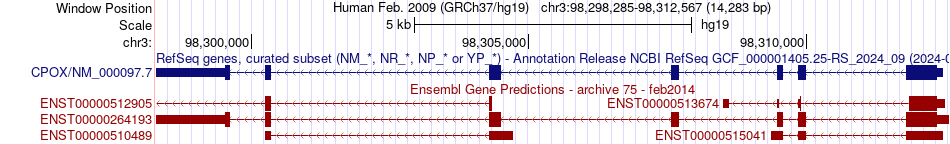 gene isoform structure of CPOX