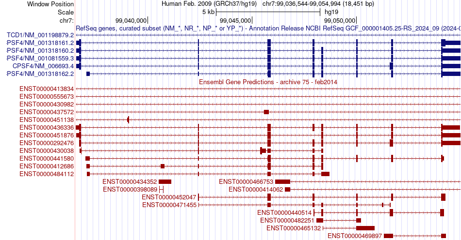 gene isoform structure of CPSF4