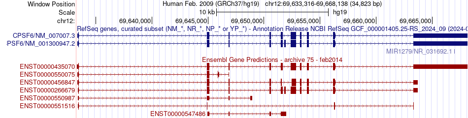 gene isoform structure of CPSF6