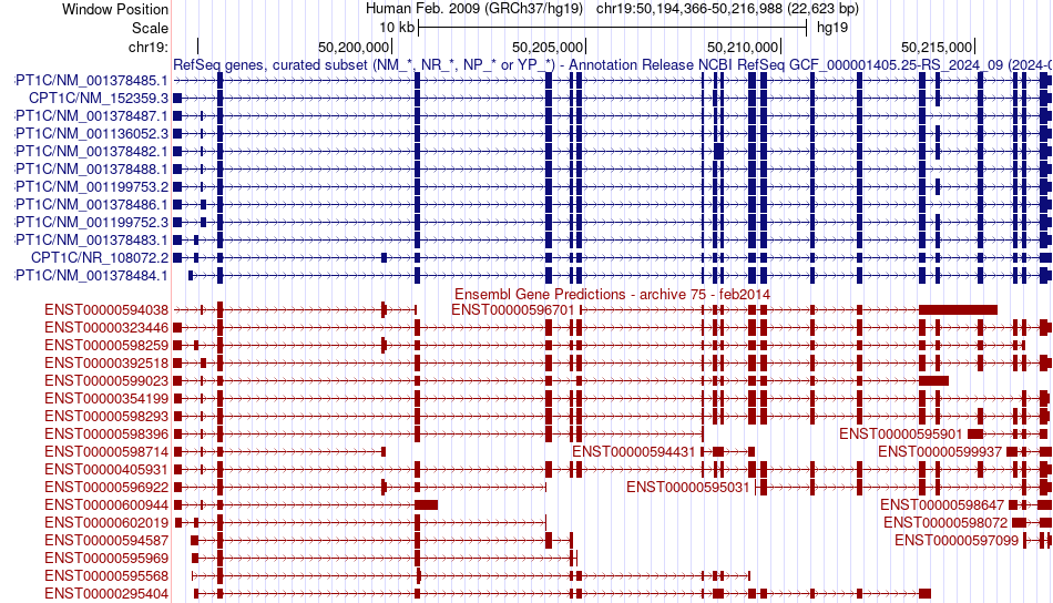 gene isoform structure of CPT1C