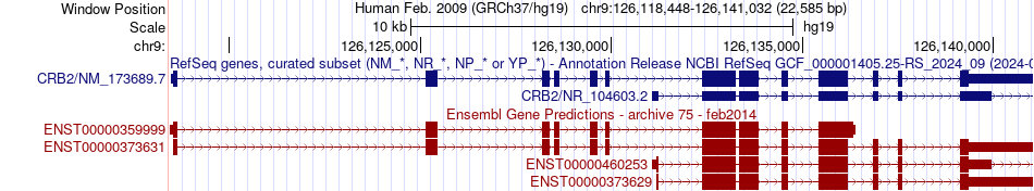 gene isoform structure of CRB2