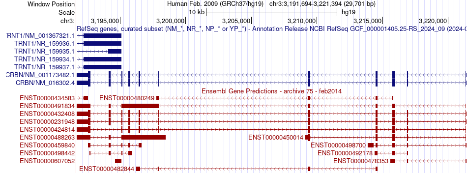gene isoform structure of CRBN