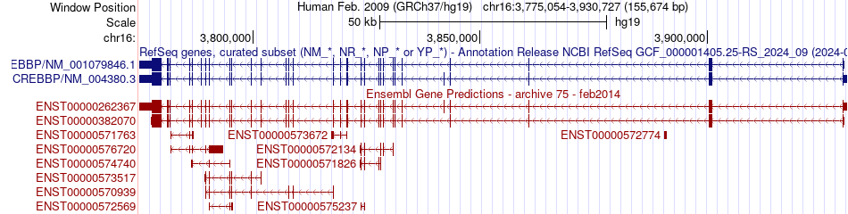 gene isoform structure of CREBBP