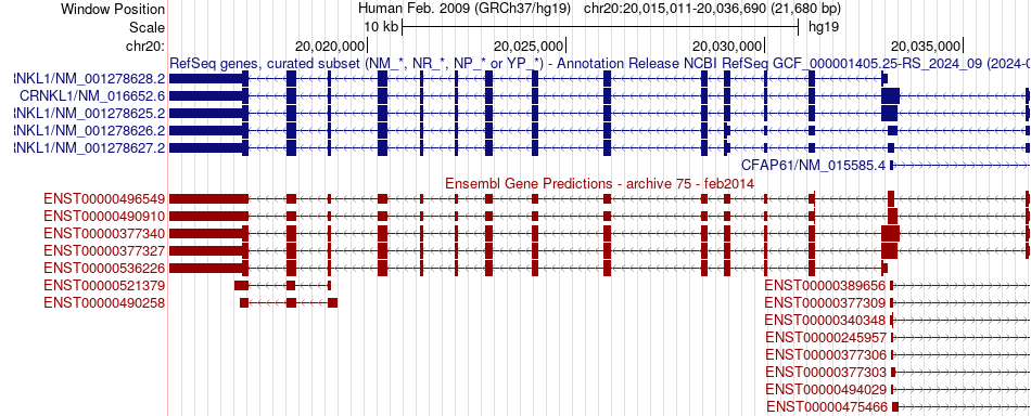 gene isoform structure of CRNKL1