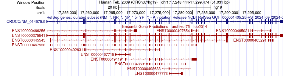 gene isoform structure of CROCC