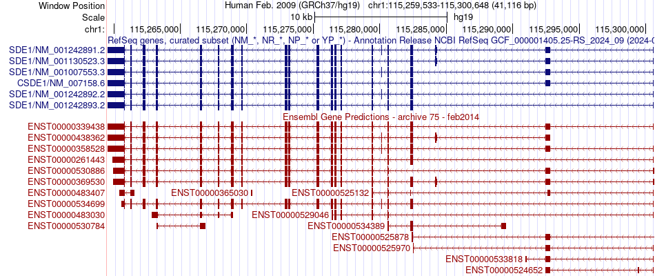 gene isoform structure of CSDE1