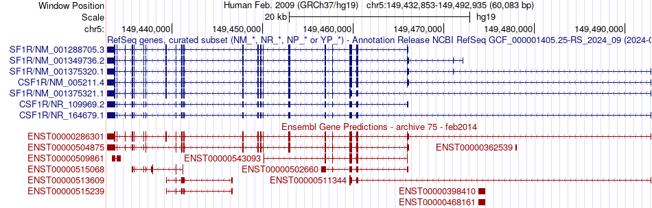 gene isoform structure of CSF1R
