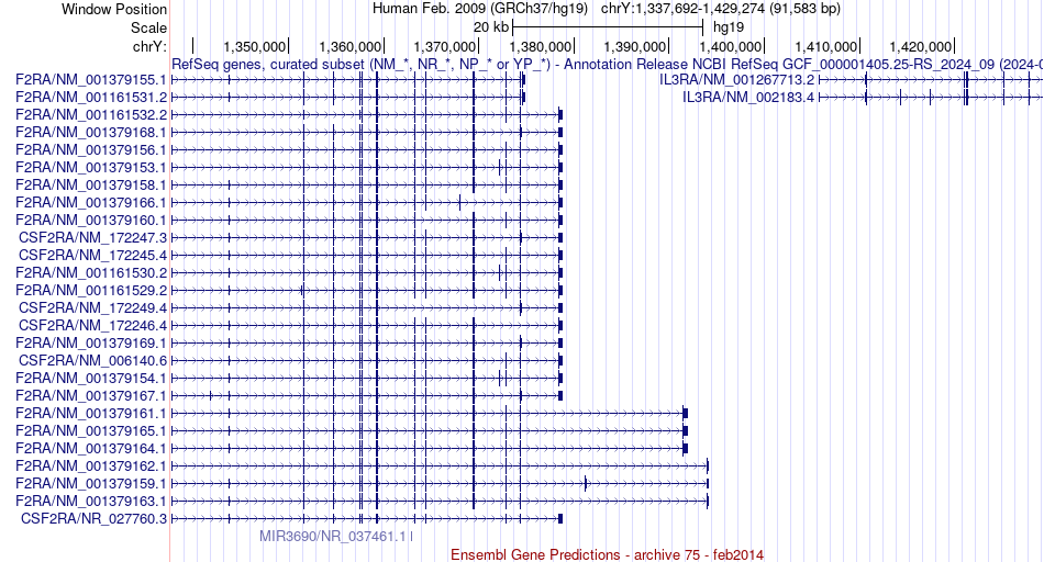 gene isoform structure of CSF2RA