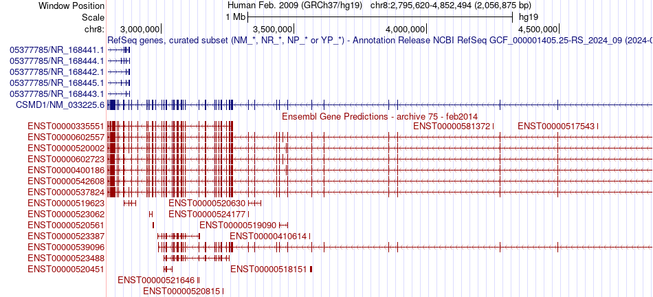 gene isoform structure of CSMD1