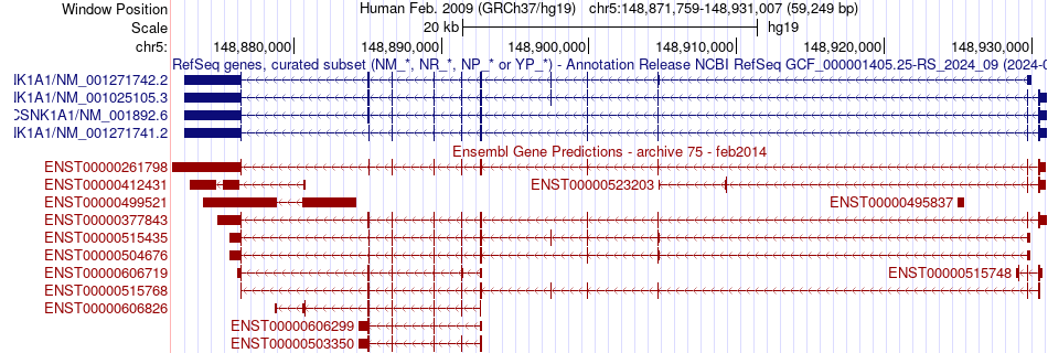 gene isoform structure of CSNK1A1